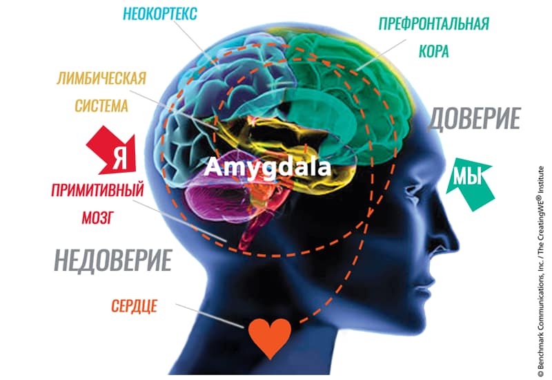 Доверие недоверие